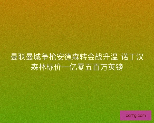 曼联曼城争抢安德森转会战升温 诺丁汉森林标价一亿零五百万英镑